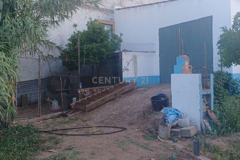 Helårsgrund i Alter do Chao, Portalegre, Alter do Chao - € 55.000 | Ref: 1649-01408 - foto 3