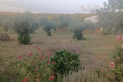 Helårsgrund i Alter do Chao, Portalegre, Alter do Chao - € 55.000 | Ref: 1649-01408 - foto 4