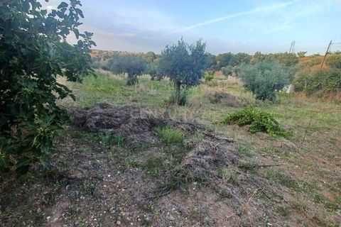 Helårsgrund i Alter do Chao, Portalegre, Alter do Chao - € 55.000 | Ref: 1649-01408 - foto 7