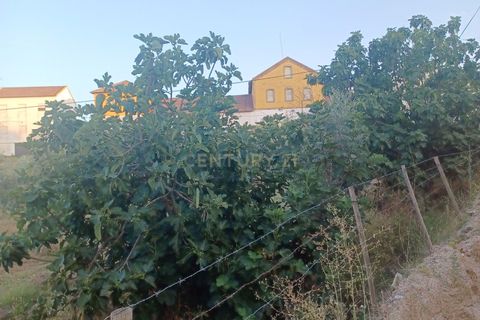 Helårsgrund i Alter do Chao, Portalegre, Alter do Chao - € 55.000 | Ref: 1649-01408 - foto 8