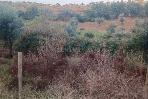 Helårsgrund i Alter do Chao, Portalegre, Alter do Chao - € 55.000 | Ref: 1649-01408 - foto 9