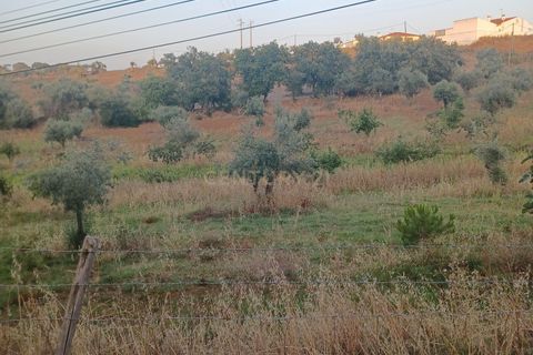Helårsgrund i Alter do Chao, Portalegre, Alter do Chao - € 55.000 | Ref: 1649-01408 - foto 10