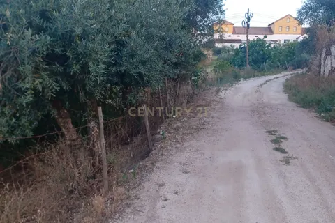 Helårsgrund i Alter do Chao, Portalegre, Alter do Chao - € 55.000 | Ref: 1649-01408 - foto 12