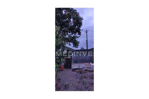 Villa a Cavez, Braga, Cavez - € 50.000 | Ref: Cave.014 - foto 11
