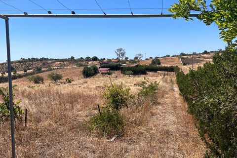 Helårsgrund i Castro Marim, Faro, Castro Marim - € 125.000 | Ref: C0358-00876 - foto 7