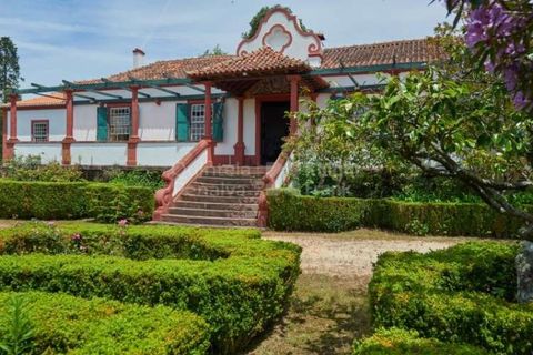 Farm i Agueda, Aveiro, Agueda - € 1.900.000 | Ref: PROP-003206 - foto 3