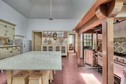 Farm i Agueda, Aveiro, Agueda - € 1.900.000 | Ref: PROP-003206 - foto 10
