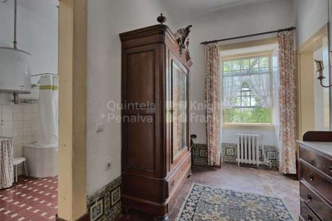 Farm i Agueda, Aveiro, Agueda - € 1.900.000 | Ref: PROP-003206 - foto 14