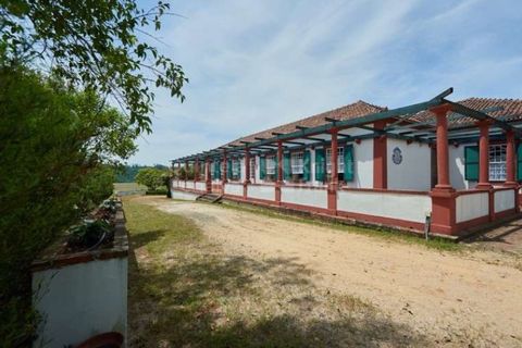 Farm i Agueda, Aveiro, Agueda - € 1.900.000 | Ref: PROP-003206 - foto 28
