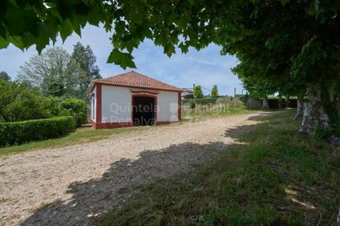 Farm i Agueda, Aveiro, Agueda - € 1.900.000 | Ref: PROP-003206 - foto 32