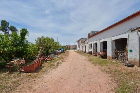 Farm i Agueda, Aveiro, Agueda - € 1.900.000 | Ref: PROP-003206 - foto 33