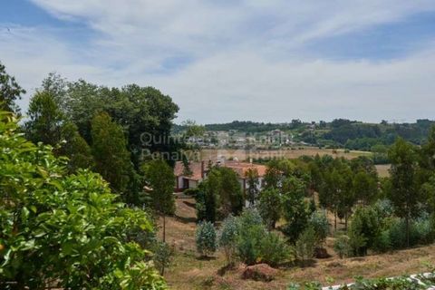 Farm i Agueda, Aveiro, Agueda - € 1.900.000 | Ref: PROP-003206 - foto 35