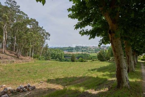 Farm i Agueda, Aveiro, Agueda - € 1.900.000 | Ref: PROP-003206 - foto 37