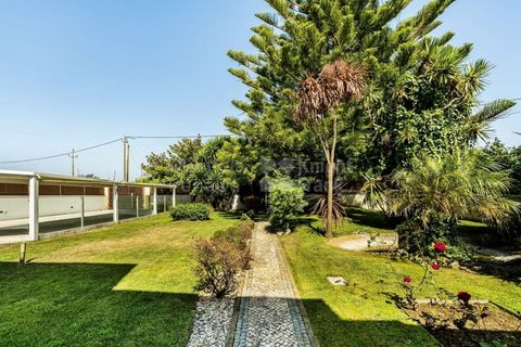 Villa i Ovar, Aveiro, Ovar - € 749.000 | Ref: PROP-030896 - foto 35