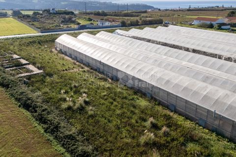 Helårsgrund i Mafra, Lisbon, Mafra - € 1.600.000 | Ref: PROP-031438 - foto 3