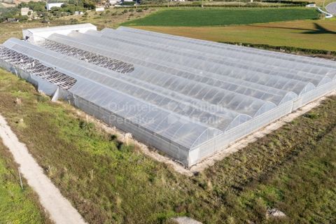 Helårsgrund i Mafra, Lisbon, Mafra - € 1.600.000 | Ref: PROP-031438 - foto 4