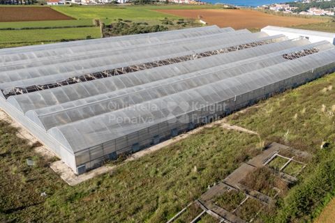 Helårsgrund i Mafra, Lisbon, Mafra - € 1.600.000 | Ref: PROP-031438 - foto 5
