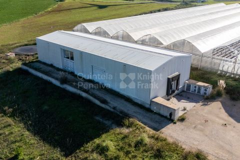 Helårsgrund i Mafra, Lisbon, Mafra - € 1.600.000 | Ref: PROP-031438 - foto 6