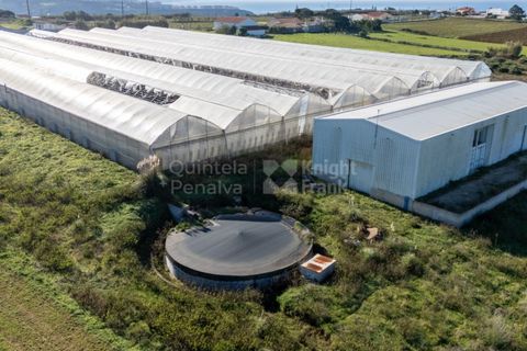 Helårsgrund i Mafra, Lisbon, Mafra - € 1.600.000 | Ref: PROP-031438 - foto 7