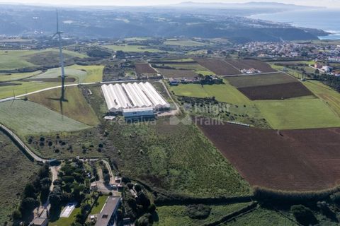 Helårsgrund i Mafra, Lisbon, Mafra - € 1.600.000 | Ref: PROP-031438 - foto 8