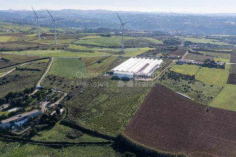 Helårsgrund i Mafra, Lisbon, Mafra - € 1.600.000 | Ref: PROP-031438 - foto 9