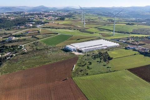 Helårsgrund i Mafra, Lisbon, Mafra - € 1.600.000 | Ref: PROP-031438 - foto 11
