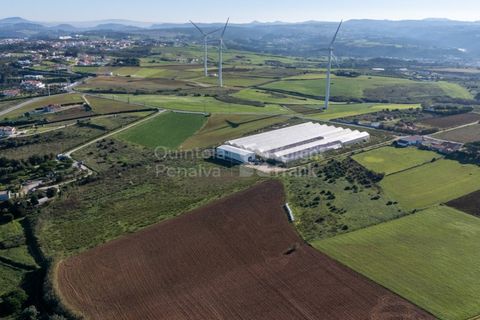 Helårsgrund i Mafra, Lisbon, Mafra - € 1.600.000 | Ref: PROP-031438 - foto 12