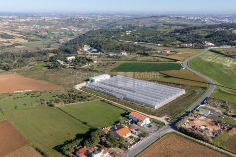 Helårsgrund i Mafra, Lisbon, Mafra - € 1.600.000 | Ref: PROP-031438 - foto 13