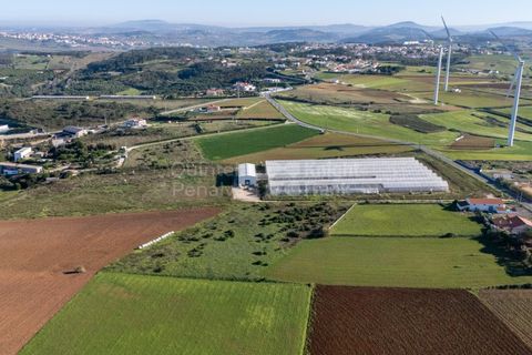 Helårsgrund i Mafra, Lisbon, Mafra - € 1.600.000 | Ref: PROP-031438 - foto 14