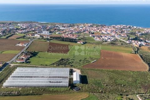 Helårsgrund i Mafra, Lisbon, Mafra - € 1.600.000 | Ref: PROP-031438 - foto 15
