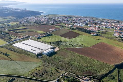 Helårsgrund i Mafra, Lisbon, Mafra - € 1.600.000 | Ref: PROP-031438 - foto 16