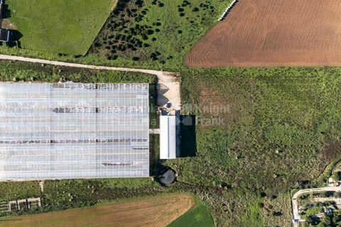 Helårsgrund i Mafra, Lisbon, Mafra - € 1.600.000 | Ref: PROP-031438 - foto 17