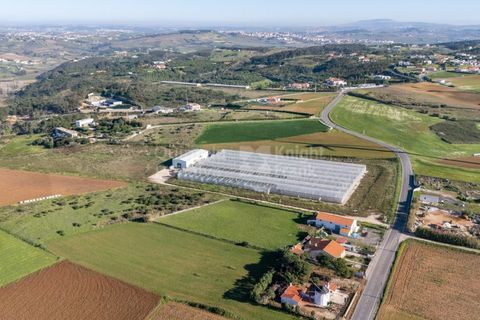 Helårsgrund i Mafra, Lisbon, Mafra - € 1.600.000 | Ref: PROP-031438 - foto 18