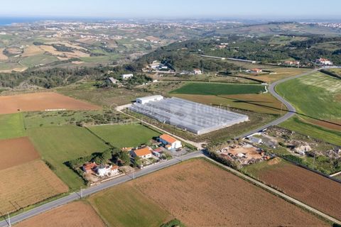 Helårsgrund i Mafra, Lisbon, Mafra - € 1.600.000 | Ref: PROP-031438 - foto 19