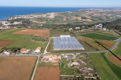 Helårsgrund i Mafra, Lisbon, Mafra - € 1.600.000 | Ref: PROP-031438 - foto 20