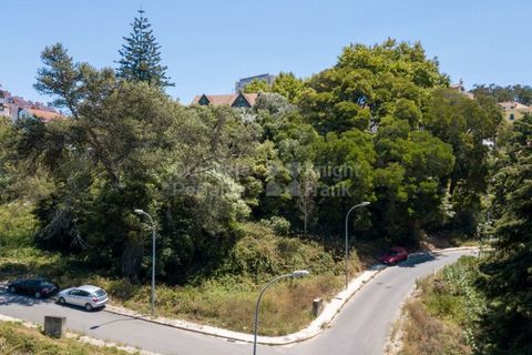 Helårsgrund i Sintra, Lisbon, Sintra - € 364.000 | Ref: PROP-027753 - foto 2