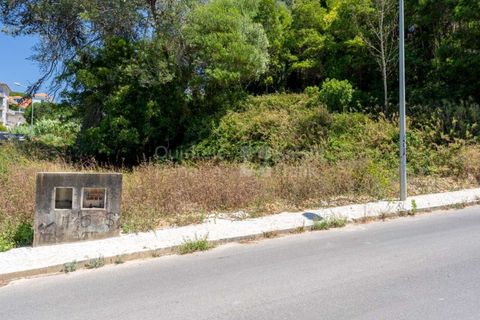 Helårsgrund i Sintra, Lisbon, Sintra - € 364.000 | Ref: PROP-027753 - foto 5