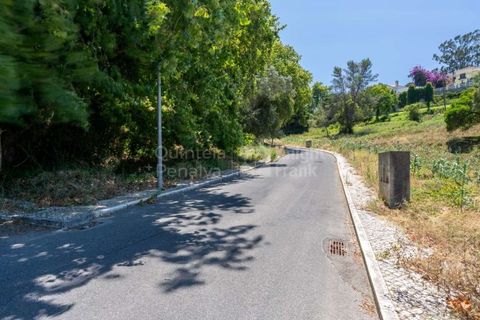 Helårsgrund i Sintra, Lisbon, Sintra - € 364.000 | Ref: PROP-027753 - foto 6