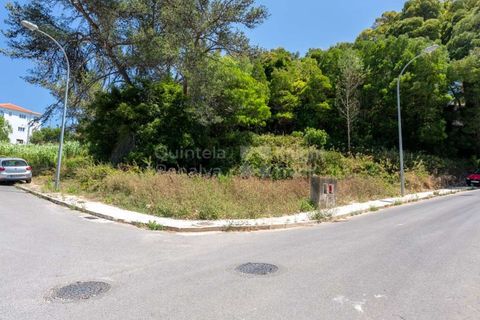 Helårsgrund i Sintra, Lisbon, Sintra - € 364.000 | Ref: PROP-027753 - foto 7