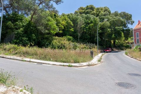 Helårsgrund i Sintra, Lisbon, Sintra - € 364.000 | Ref: PROP-027753 - foto 8