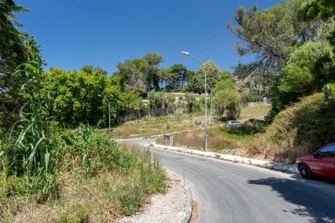 Helårsgrund i Sintra, Lisbon, Sintra - € 364.000 | Ref: PROP-027753 - foto 10