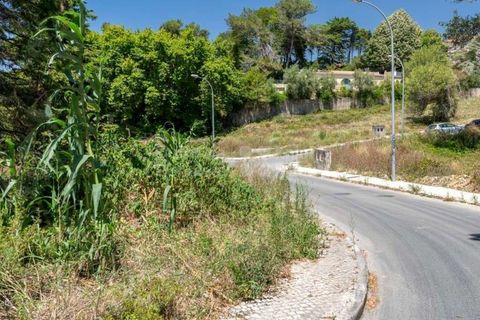Helårsgrund i Sintra, Lisbon, Sintra - € 364.000 | Ref: PROP-027753 - foto 11