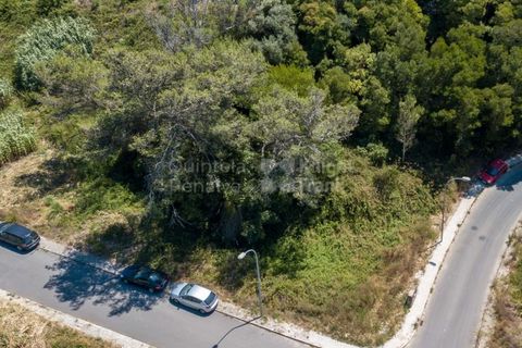 Helårsgrund i Sintra, Lisbon, Sintra - € 364.000 | Ref: PROP-027753 - foto 13