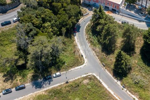 Helårsgrund i Sintra, Lisbon, Sintra - € 364.000 | Ref: PROP-027753 - foto 17