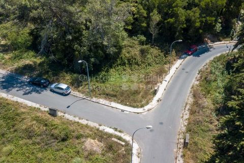 Helårsgrund i Sintra, Lisbon, Sintra - € 364.000 | Ref: PROP-027753 - foto 18