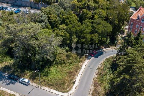 Helårsgrund i Sintra, Lisbon, Sintra - € 364.000 | Ref: PROP-027753 - foto 20