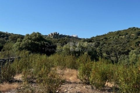 Helårsgrund i Evora, Evora, Evora - € 630.000 | Ref: PROP-026974 - foto 17