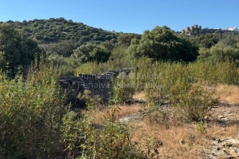 Helårsgrund i Evora, Evora, Evora - € 630.000 | Ref: PROP-026974 - foto 18