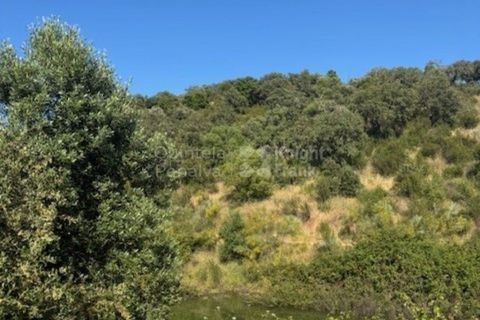 Helårsgrund i Evora, Evora, Evora - € 630.000 | Ref: PROP-026974 - foto 24