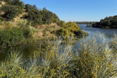 Helårsgrund i Evora, Evora, Evora - € 630.000 | Ref: PROP-026974 - foto 25